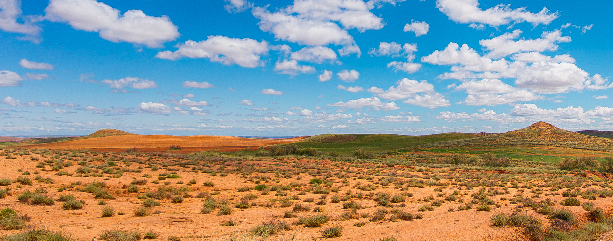 Planerón, Estepa, Desert